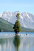 JACKSON WY : 